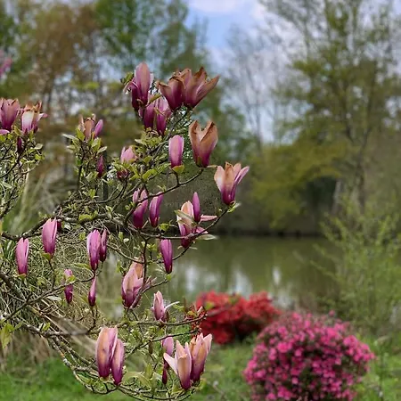 펜션 Chateau De La Jumellière