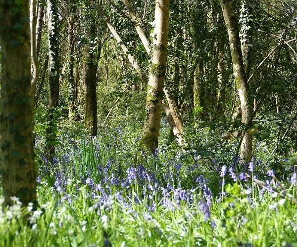 Hébergement de vacances Château De *