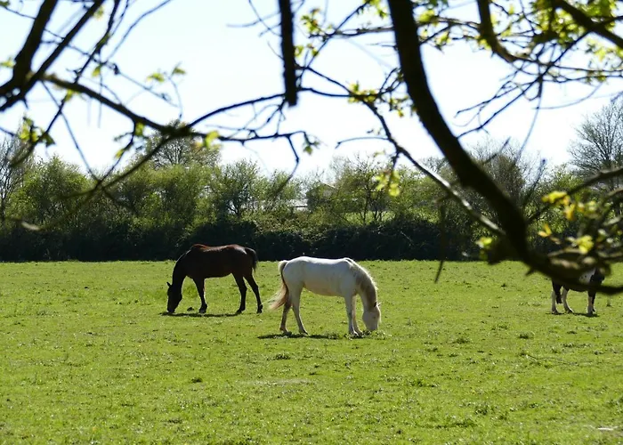 Château De La Jumellière