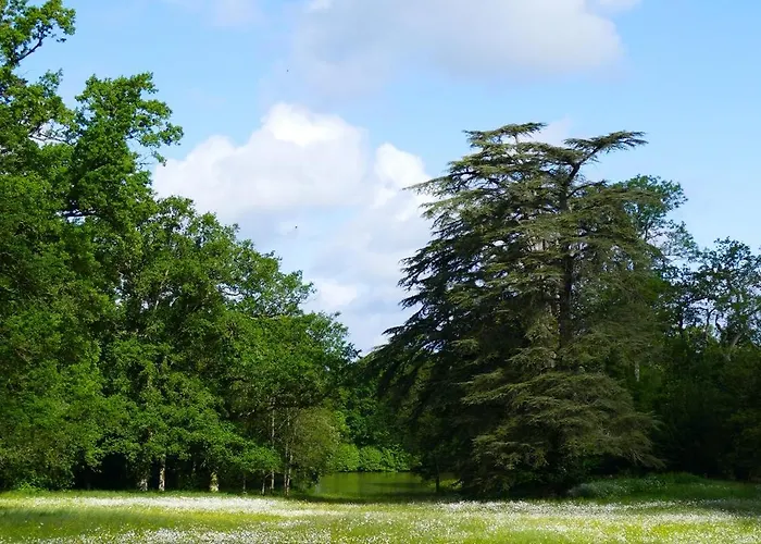 Château De * La Jumellière