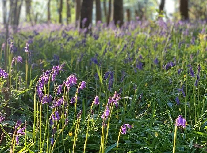 Château De Hébergement de vacances *