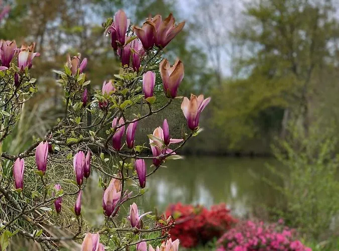 Hébergement de vacances Château De La Jumellière